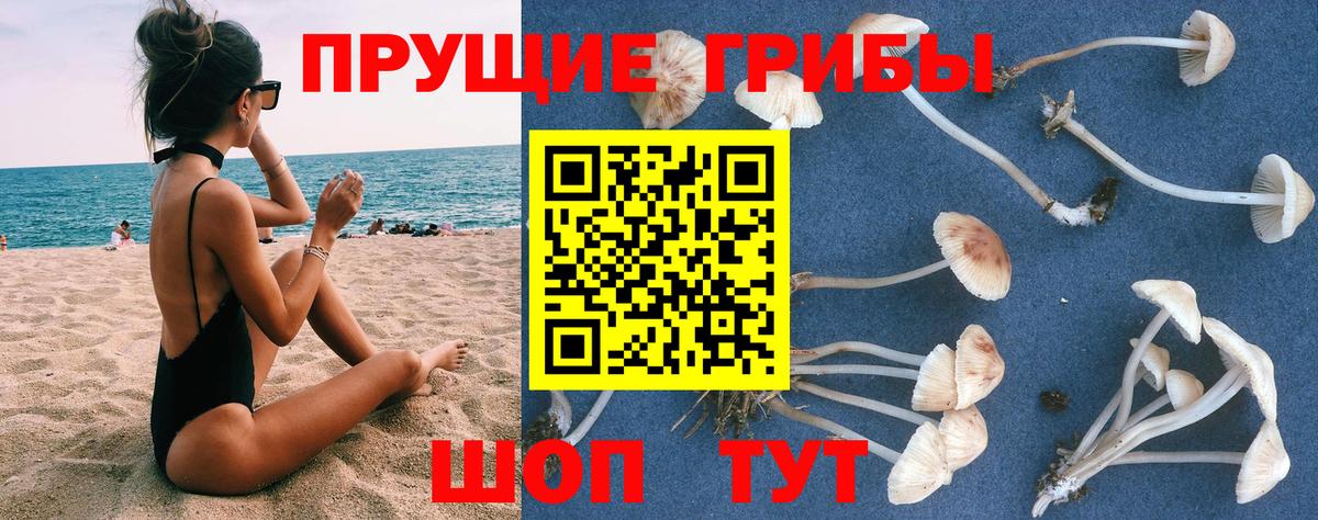 Галлюциногенные грибы Psilocybine cubensis Наро-Фоминск